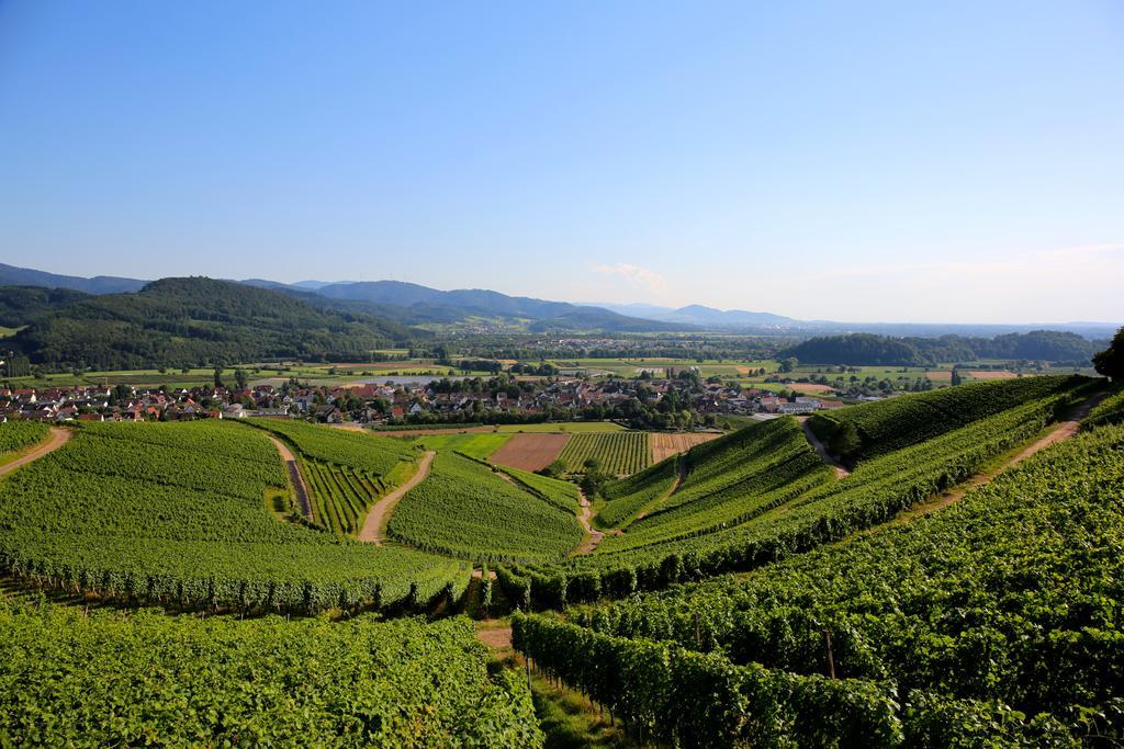 Annas Scheune Waldkirch Bagian luar foto